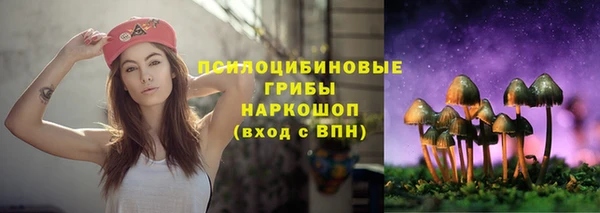 mix Белокуриха