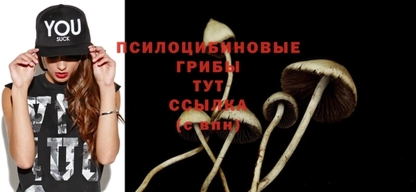 mix Белокуриха