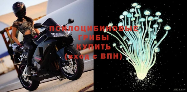 гидра Россошь