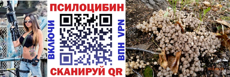 Псилоцибиновые грибы Psilocybe Очёр